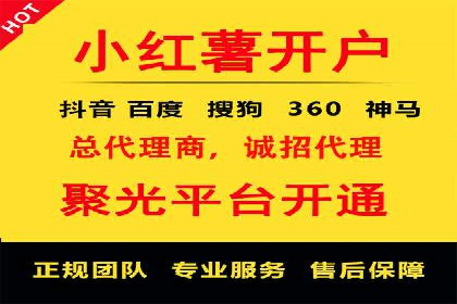 SEM托管服务案例解析：提升企业在线曝光